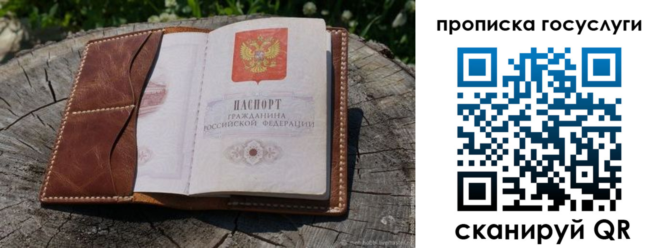 прописка для школы в Кирсанове